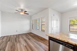 1 BD - Living Room