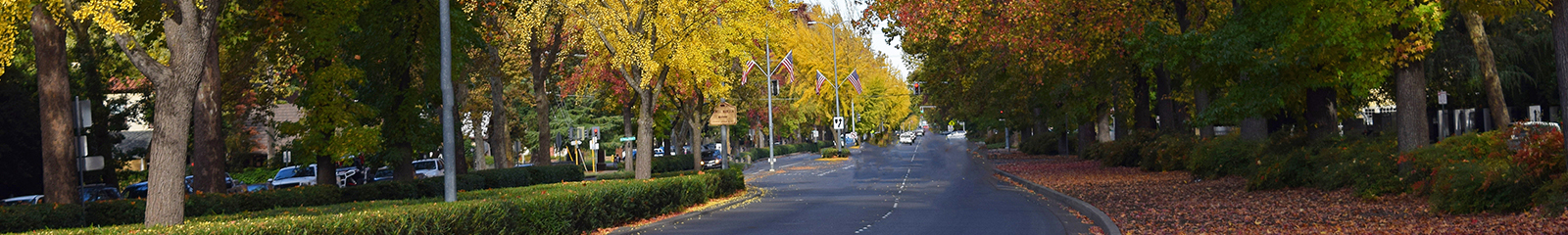 Autumn Streets in Chico